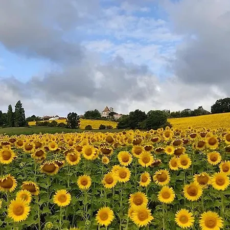 L' Arbre De Vie Indépendant, Au Calme Apartamento Les Essards (Charente)